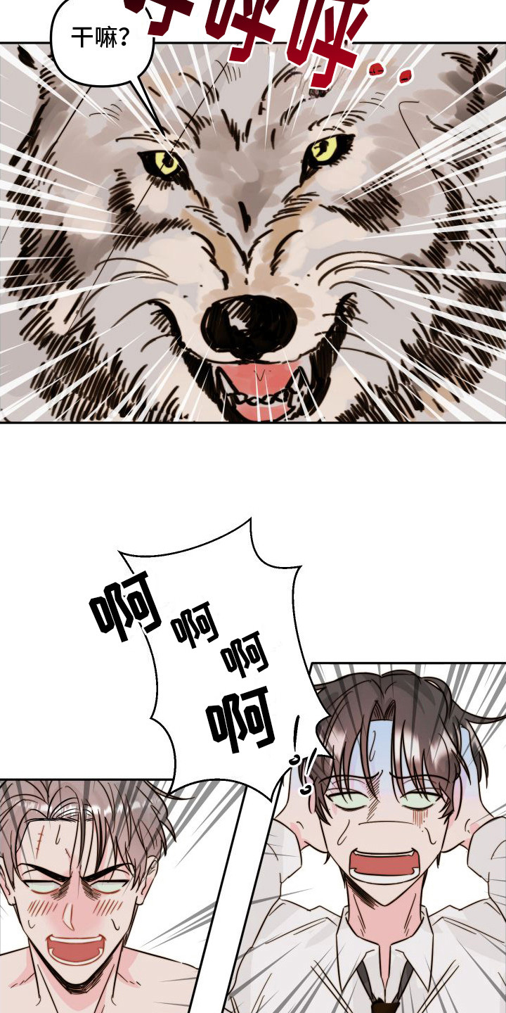 第12章：格子衫13