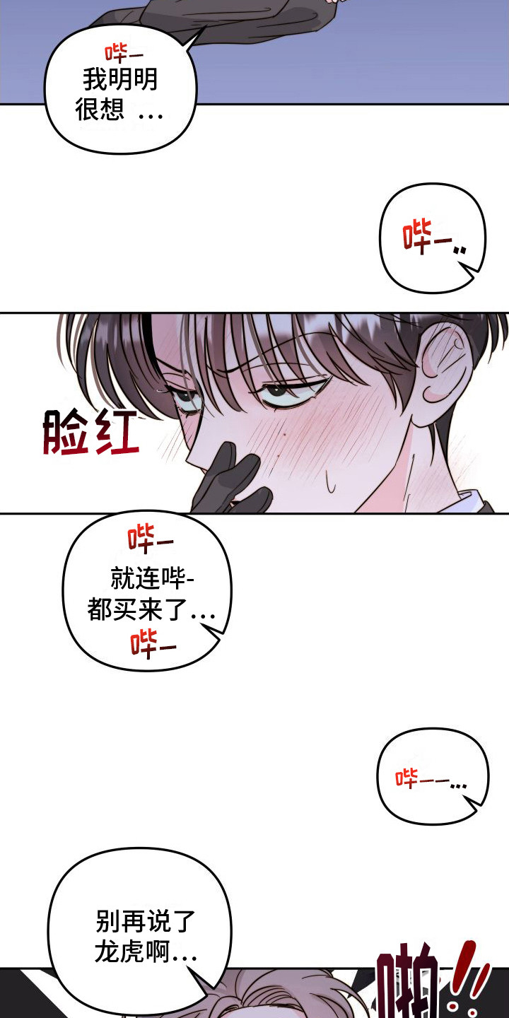 第17章：解决方法16