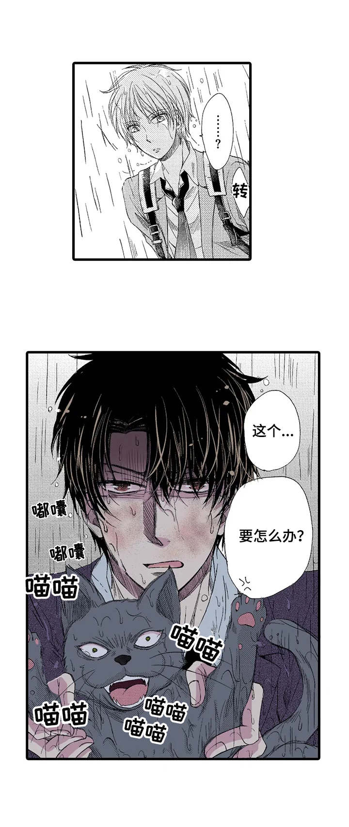 第1章：雨中来客7