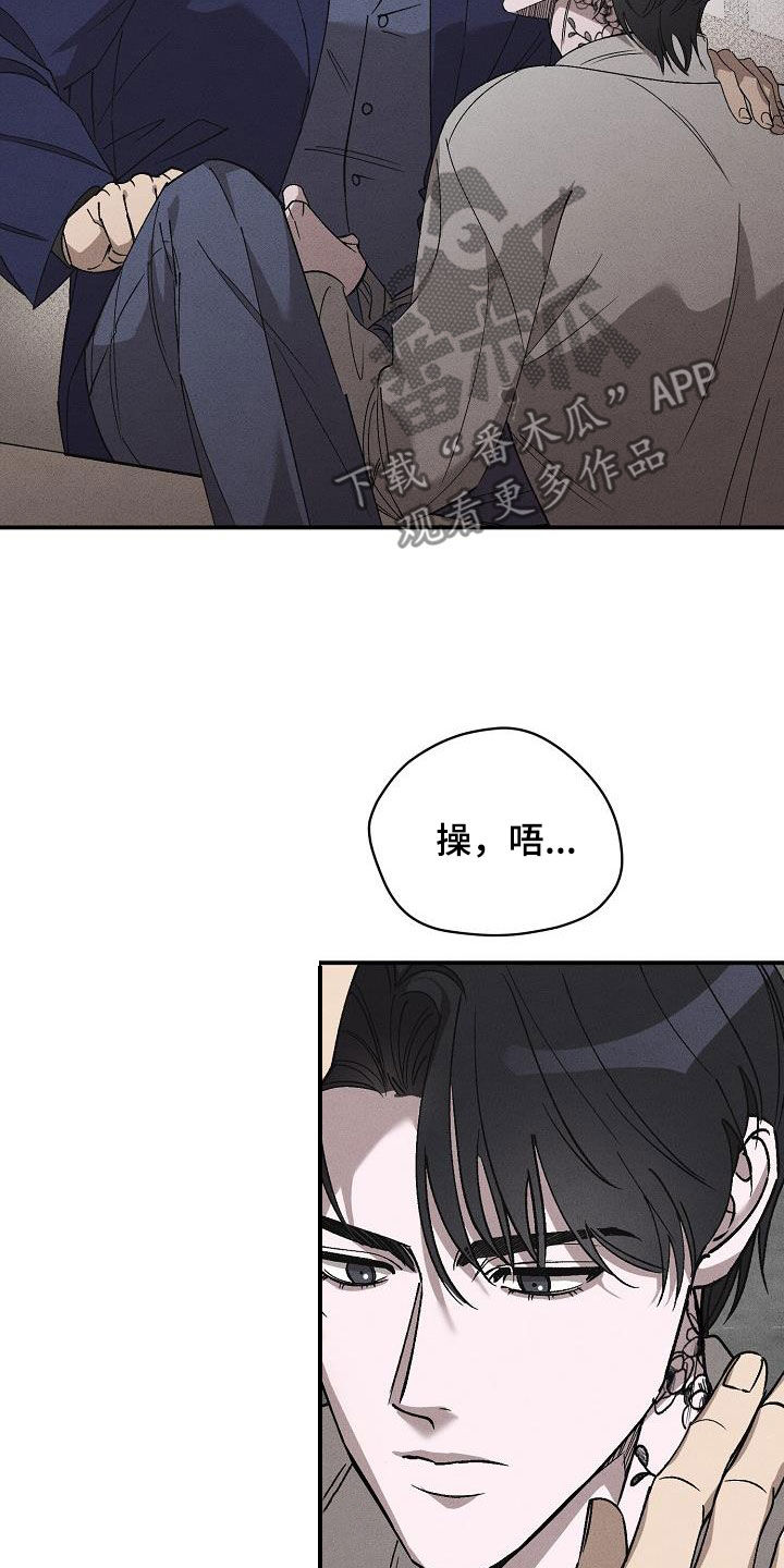 第19章：爱是什么13
