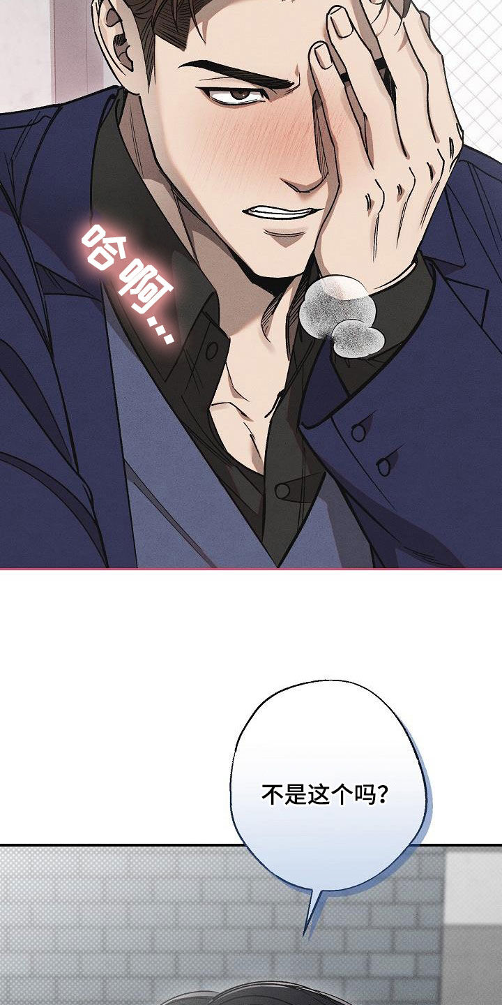 第19章：爱是什么8