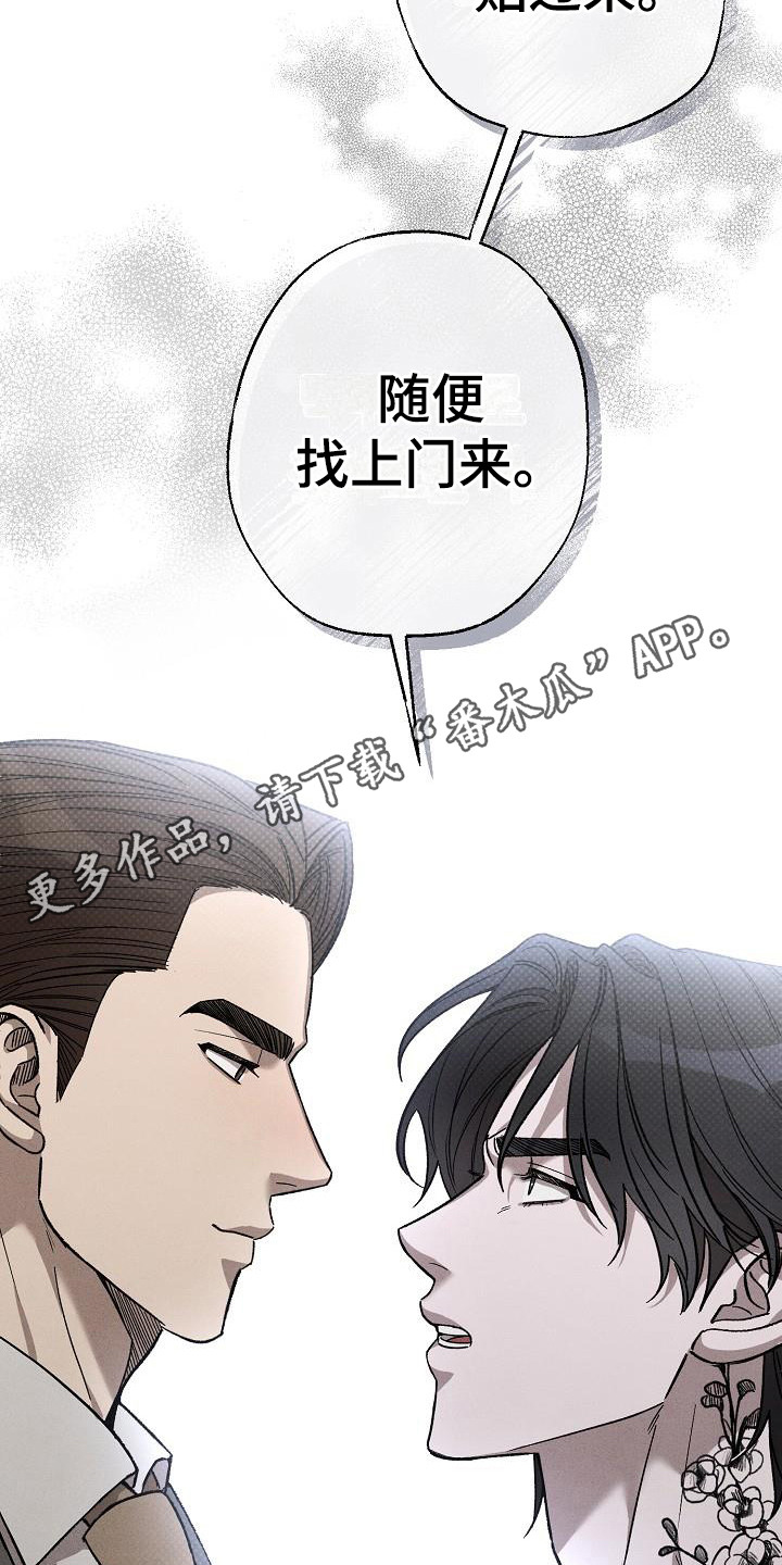 第13章：没情调10