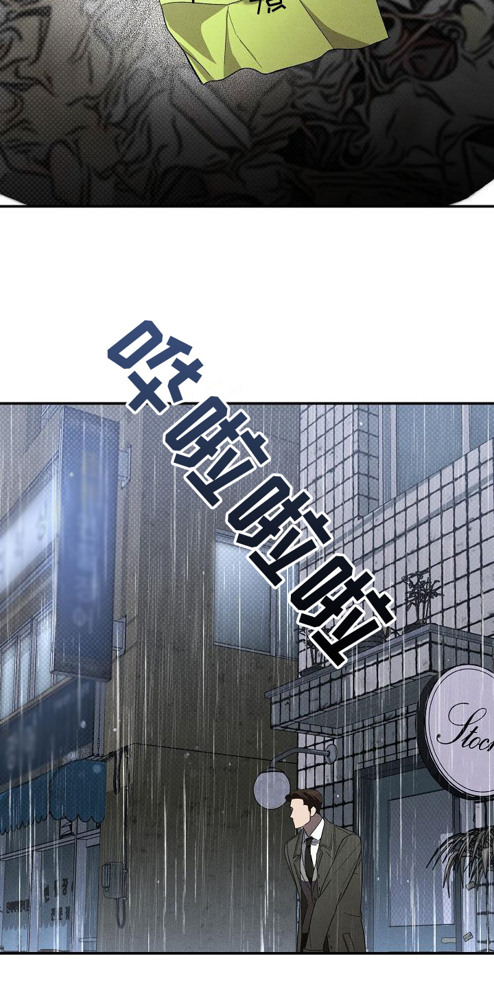 第19章：爱是什么32