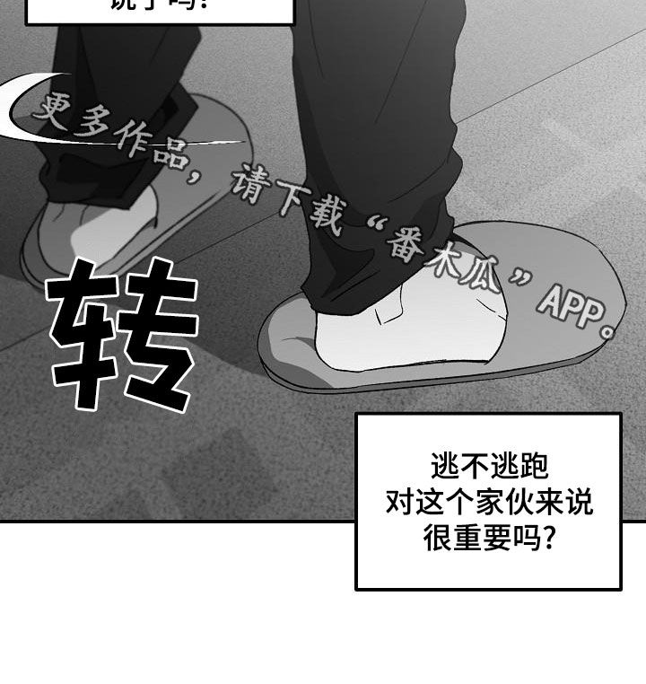 第56章：很重要吗19
