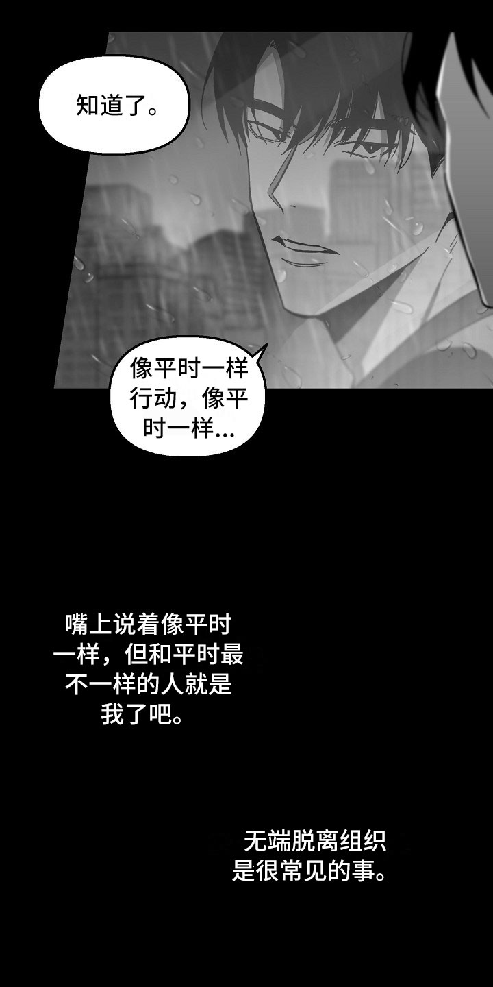 第13章：雨夜行动14