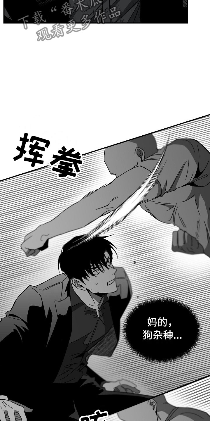 第14章：落地的靴子11