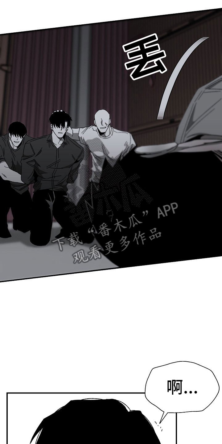 第14章：落地的靴子21
