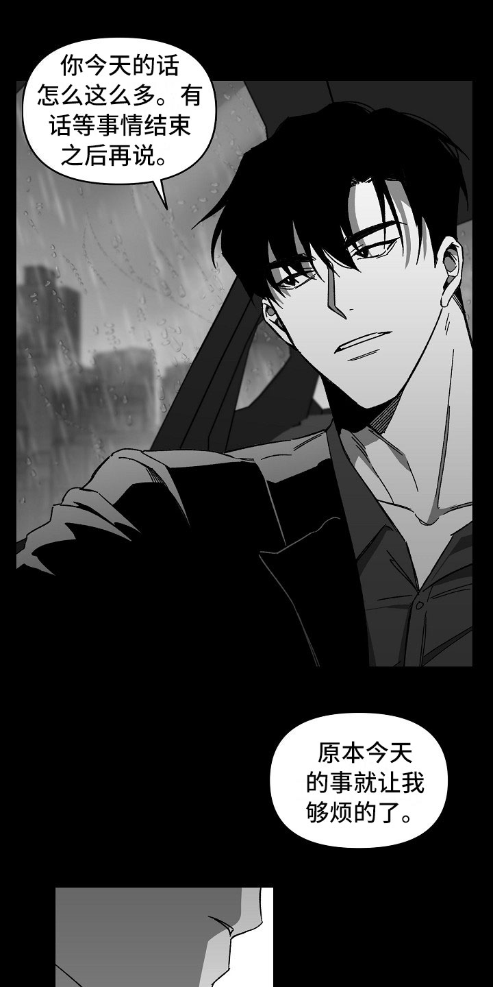 第13章：雨夜行动11
