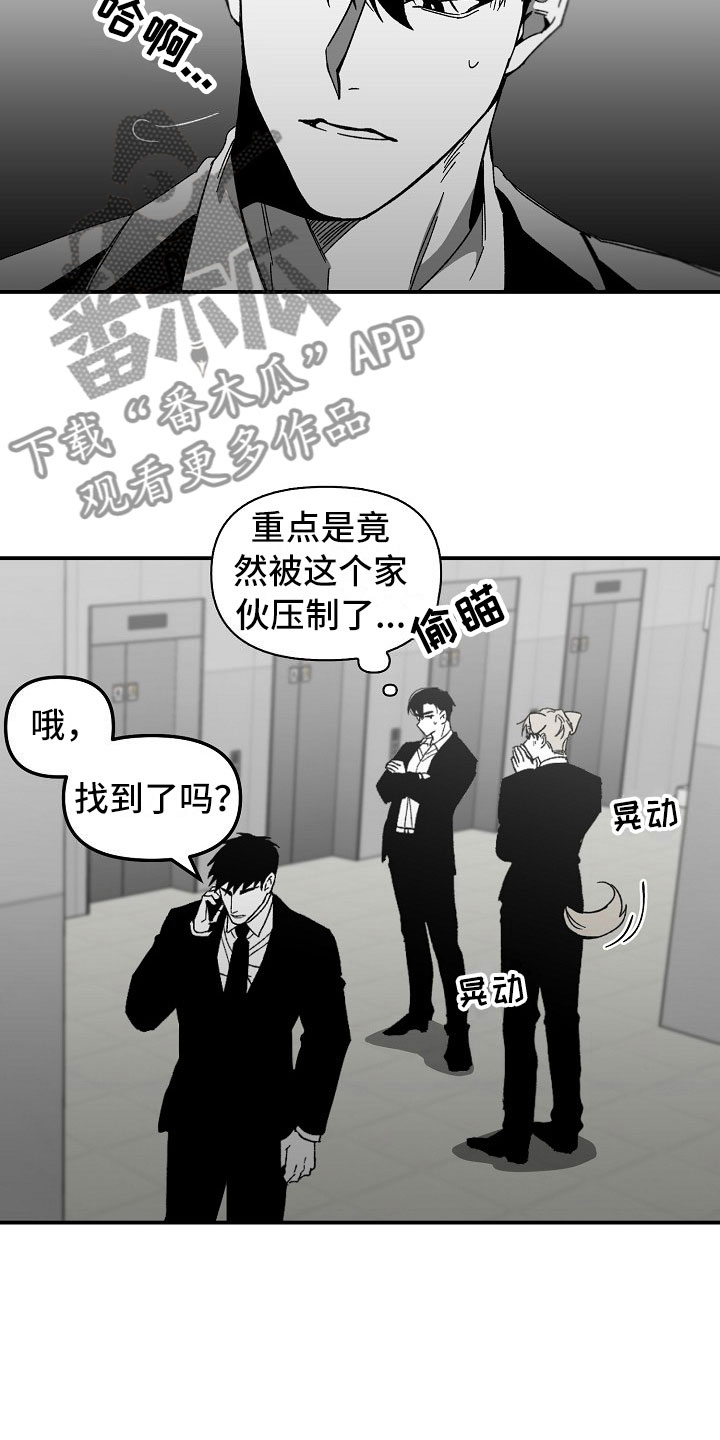 第4章：迷得找不着北19