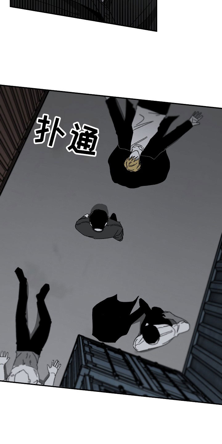 第14章：落地的靴子14