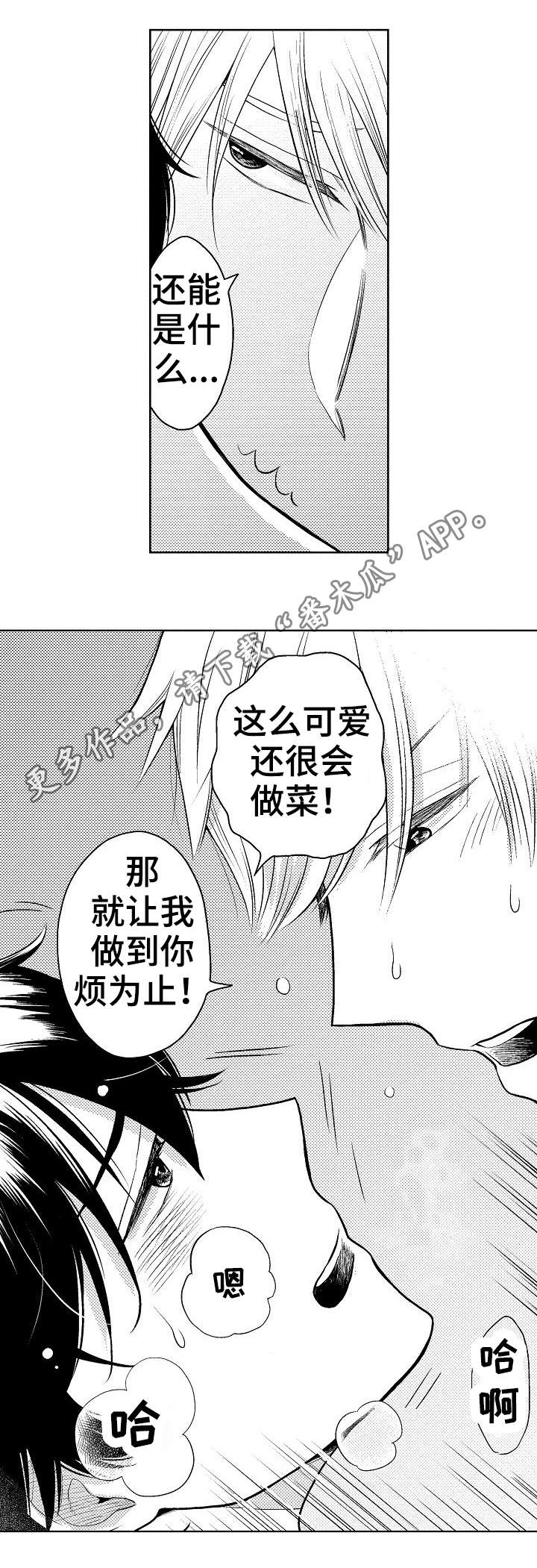 第5章：材料6