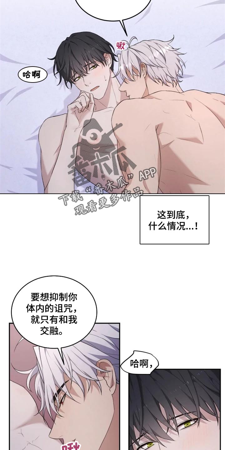 第19章：抑制诅咒13