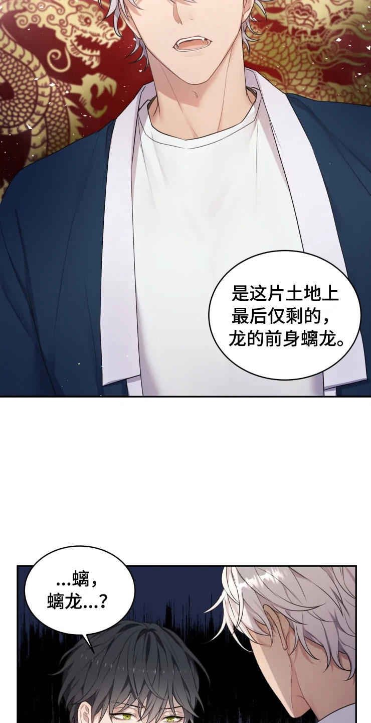 第2章：梦中的男人19