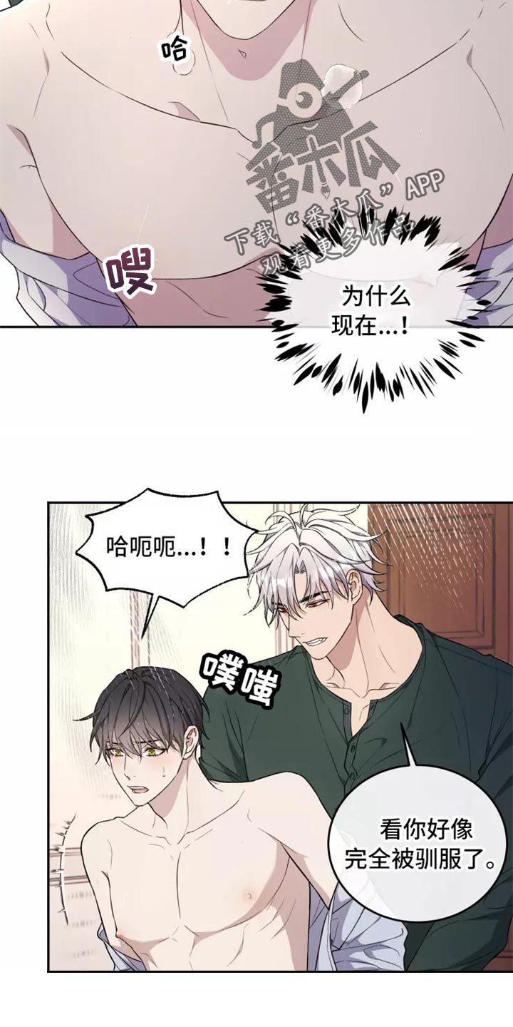 第39章：不是梦5
