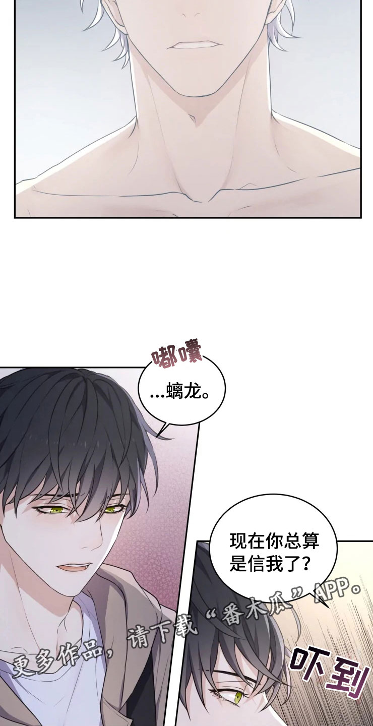 第4章：嗜睡的原因7