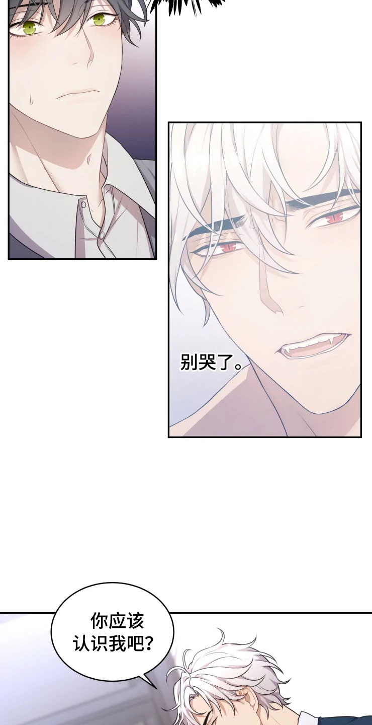 第2章：梦中的男人17