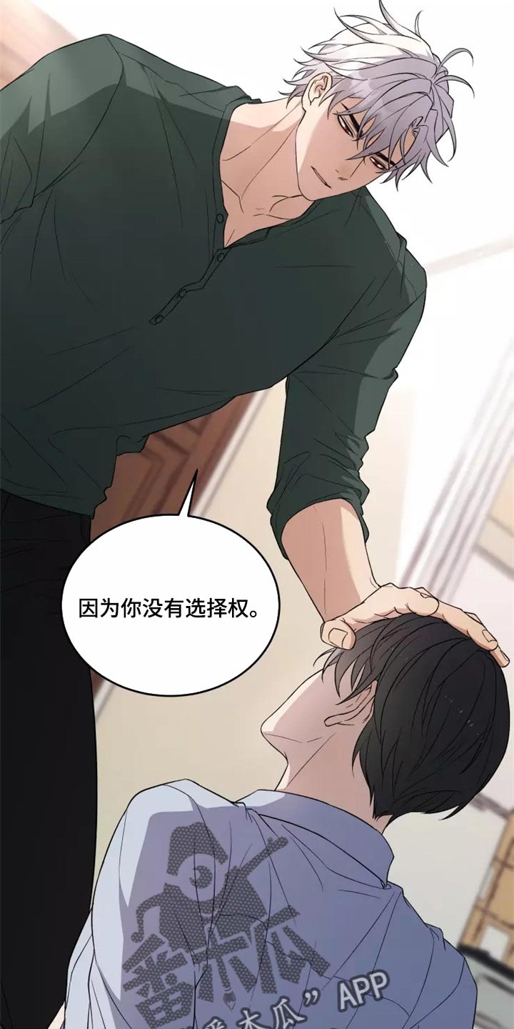 第38章：天差地别8