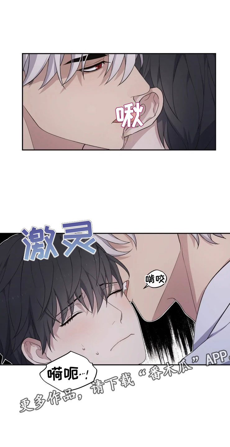 第18章：初夜之礼23