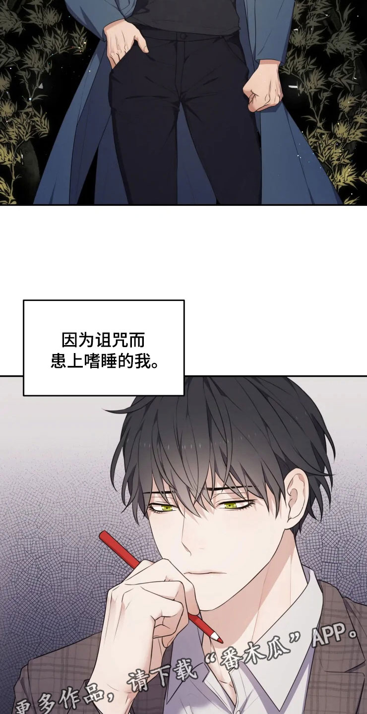 第4章：嗜睡的原因25