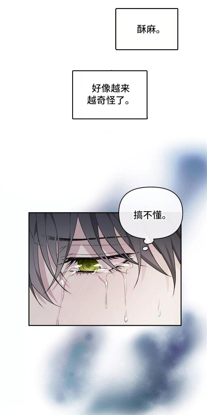 第40章：搞不懂12