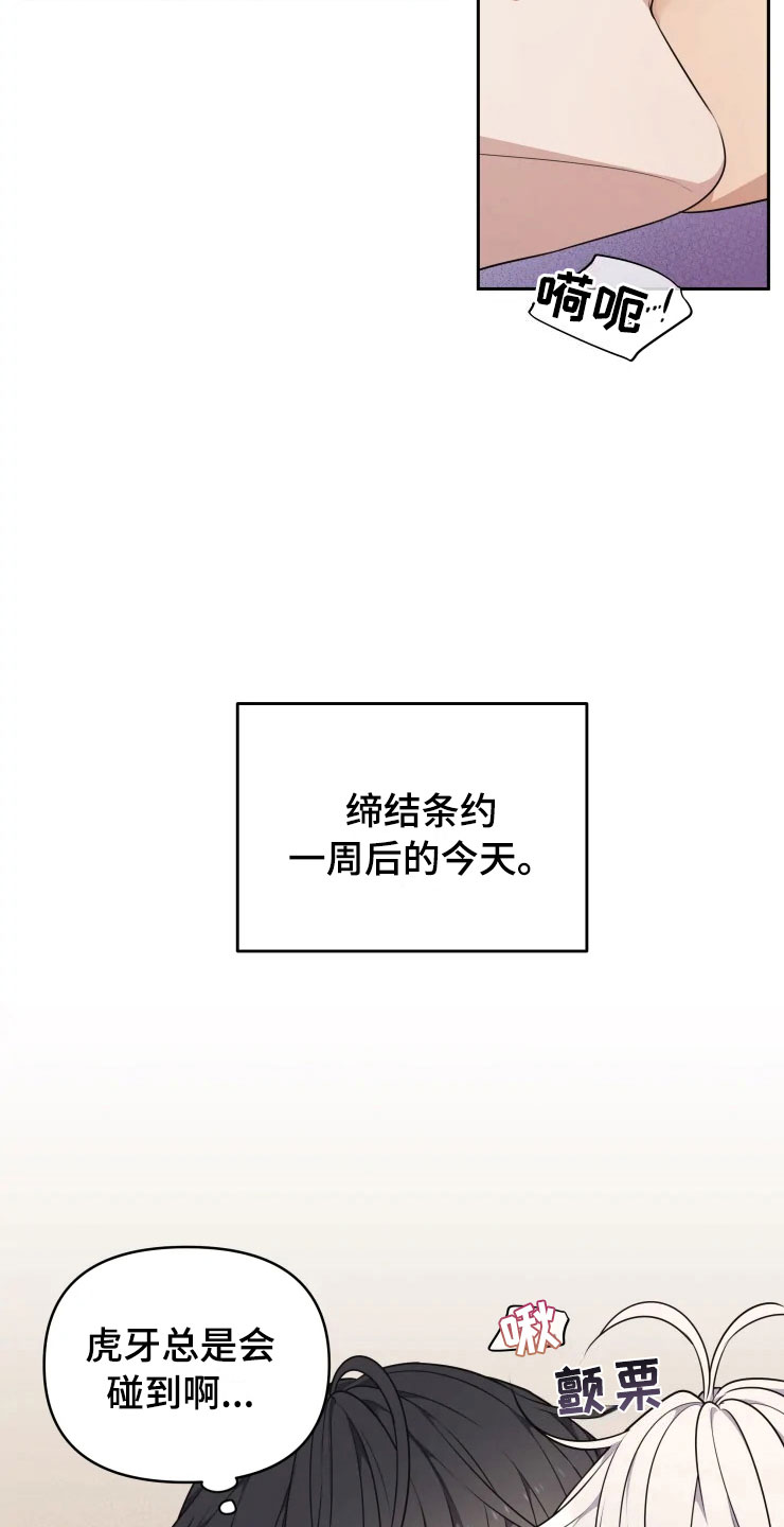 第11章：三个条件7