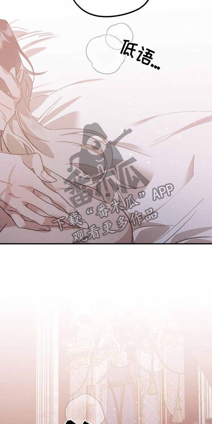 第12章：薰衣草花园：喜欢11