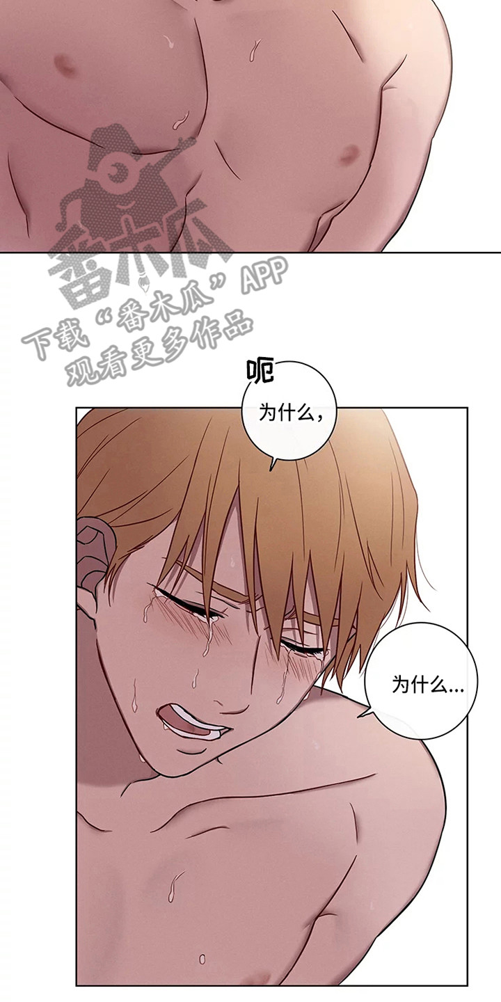 第52章：三角恋人：很有关系8