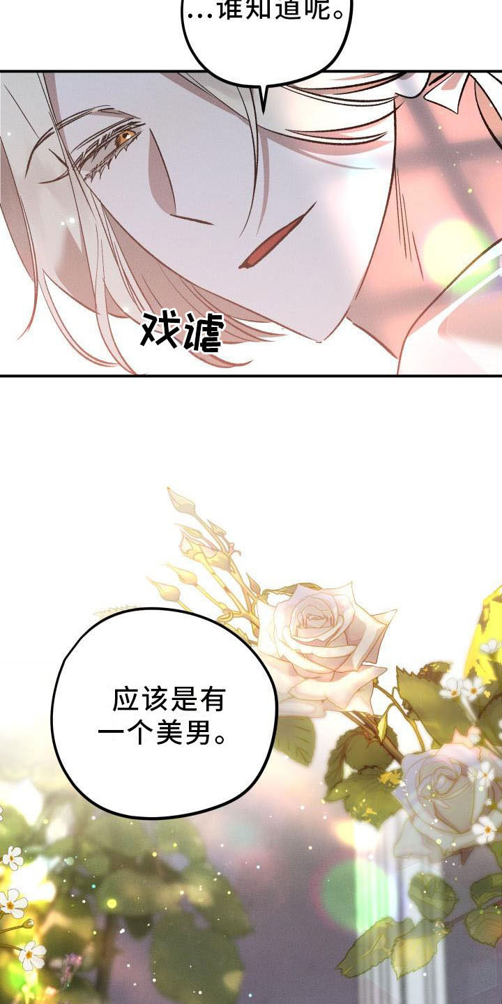 第13章：薰衣草花园：拥抱幸福（完）15