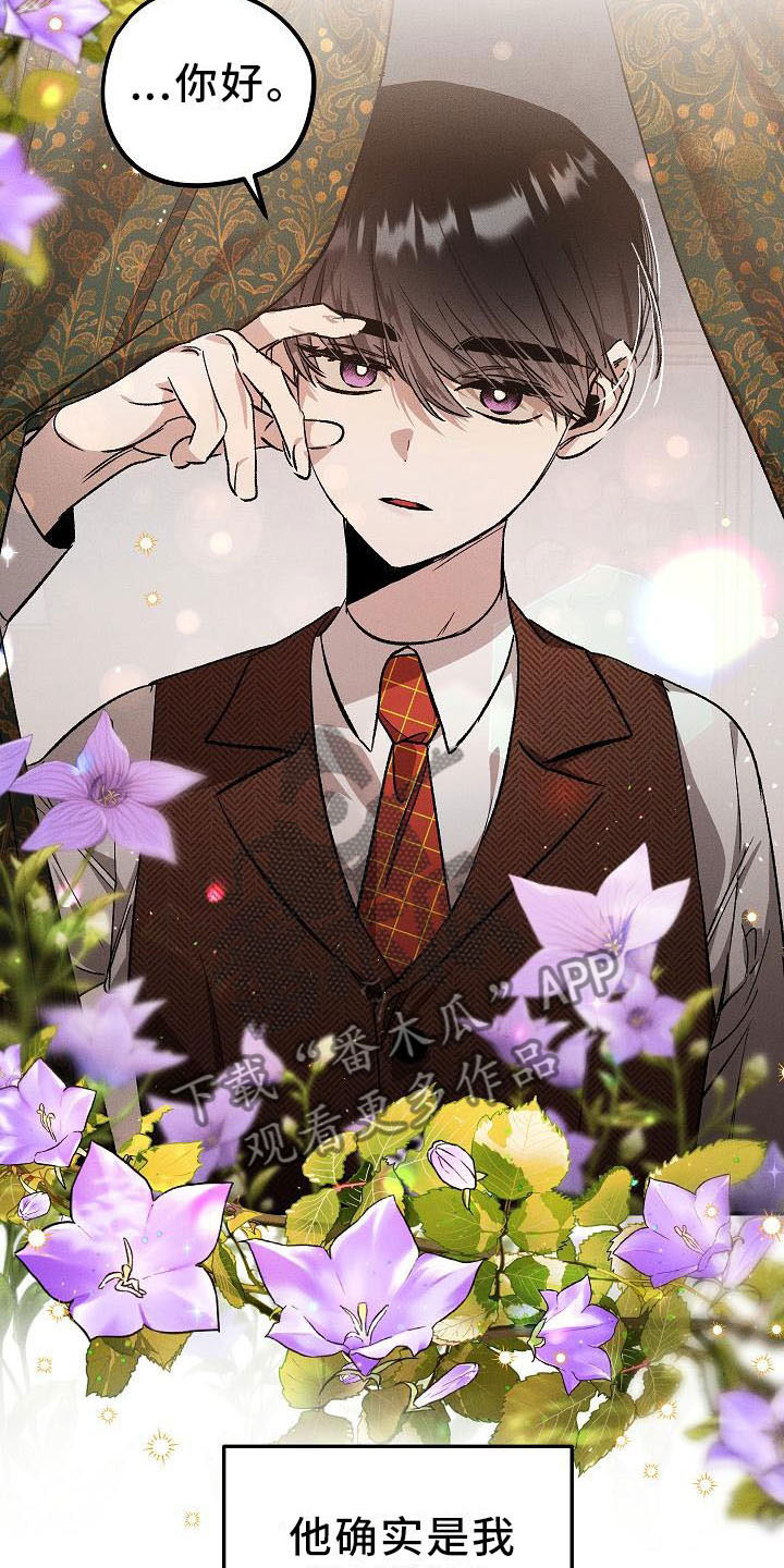 第4章：薰衣草花园：盗窃8