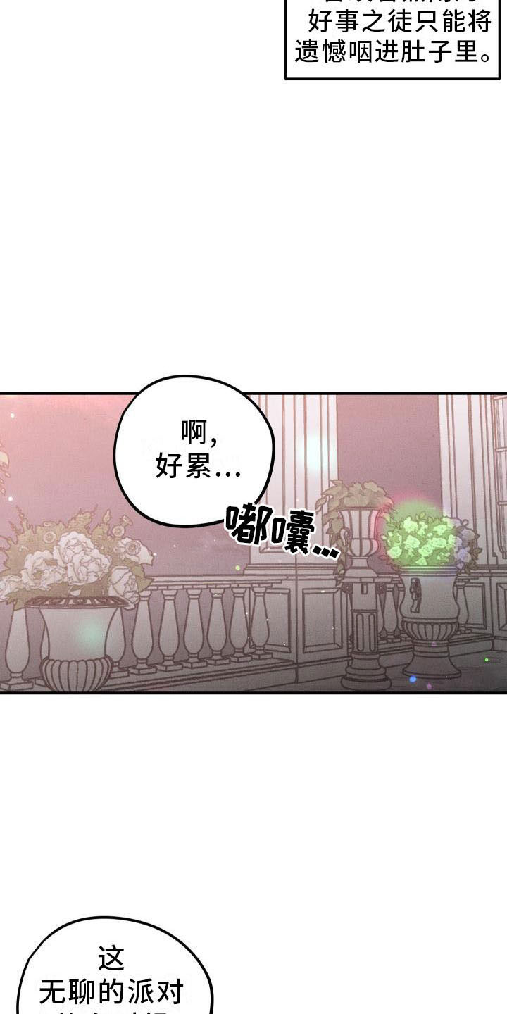 第13章：薰衣草花园：拥抱幸福（完）13