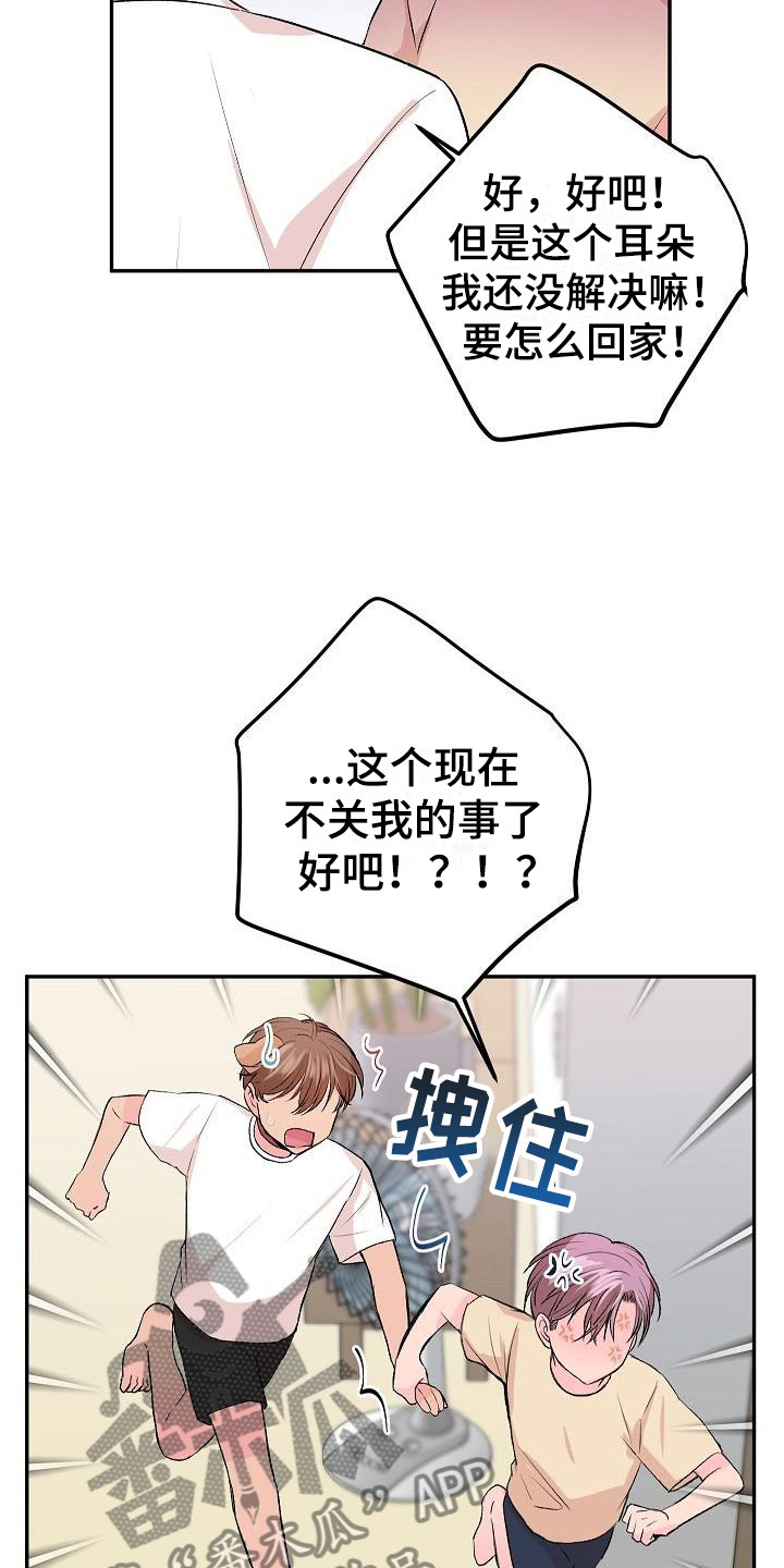 第28章：我的狗男孩：扫地出门20