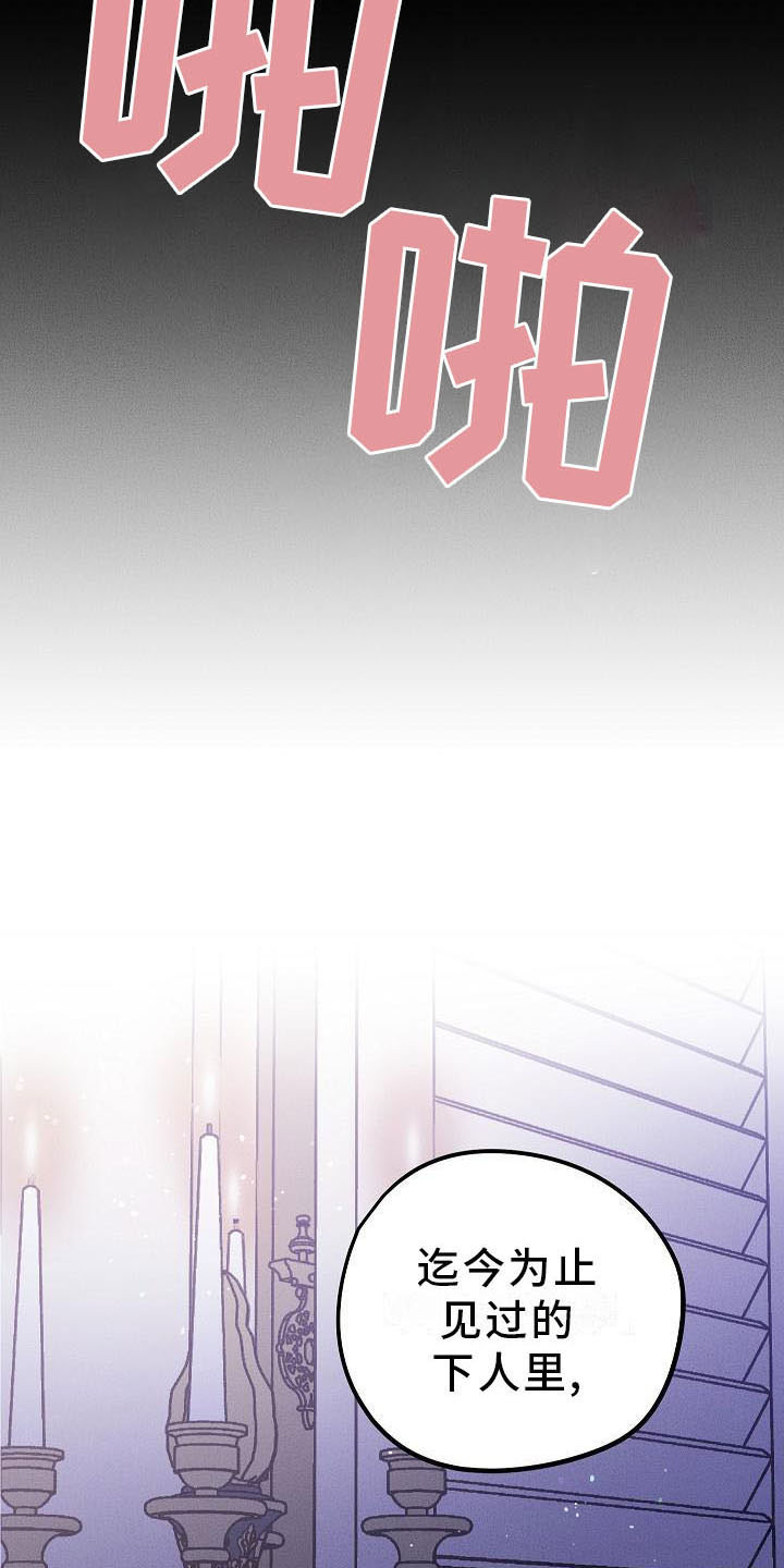 第5章：薰衣草花园：鞭打19