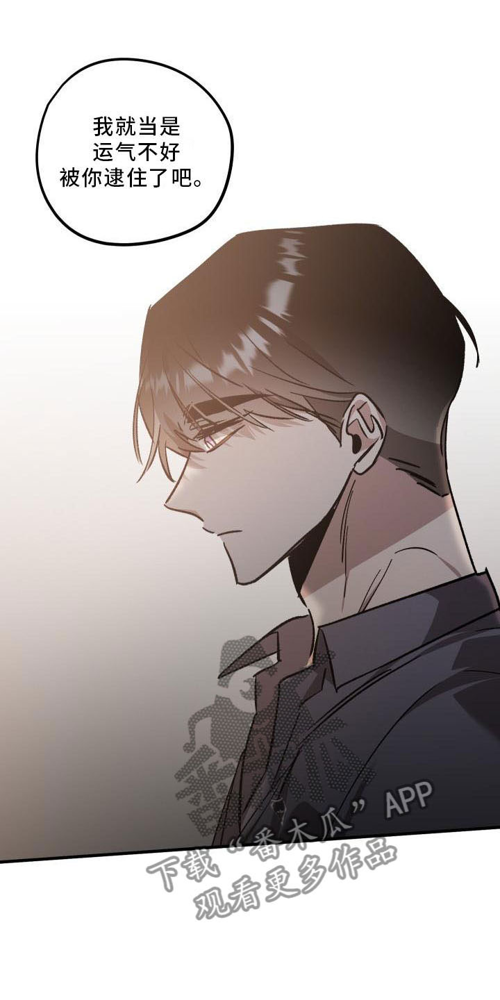 第11章：薰衣草花园：挽留5
