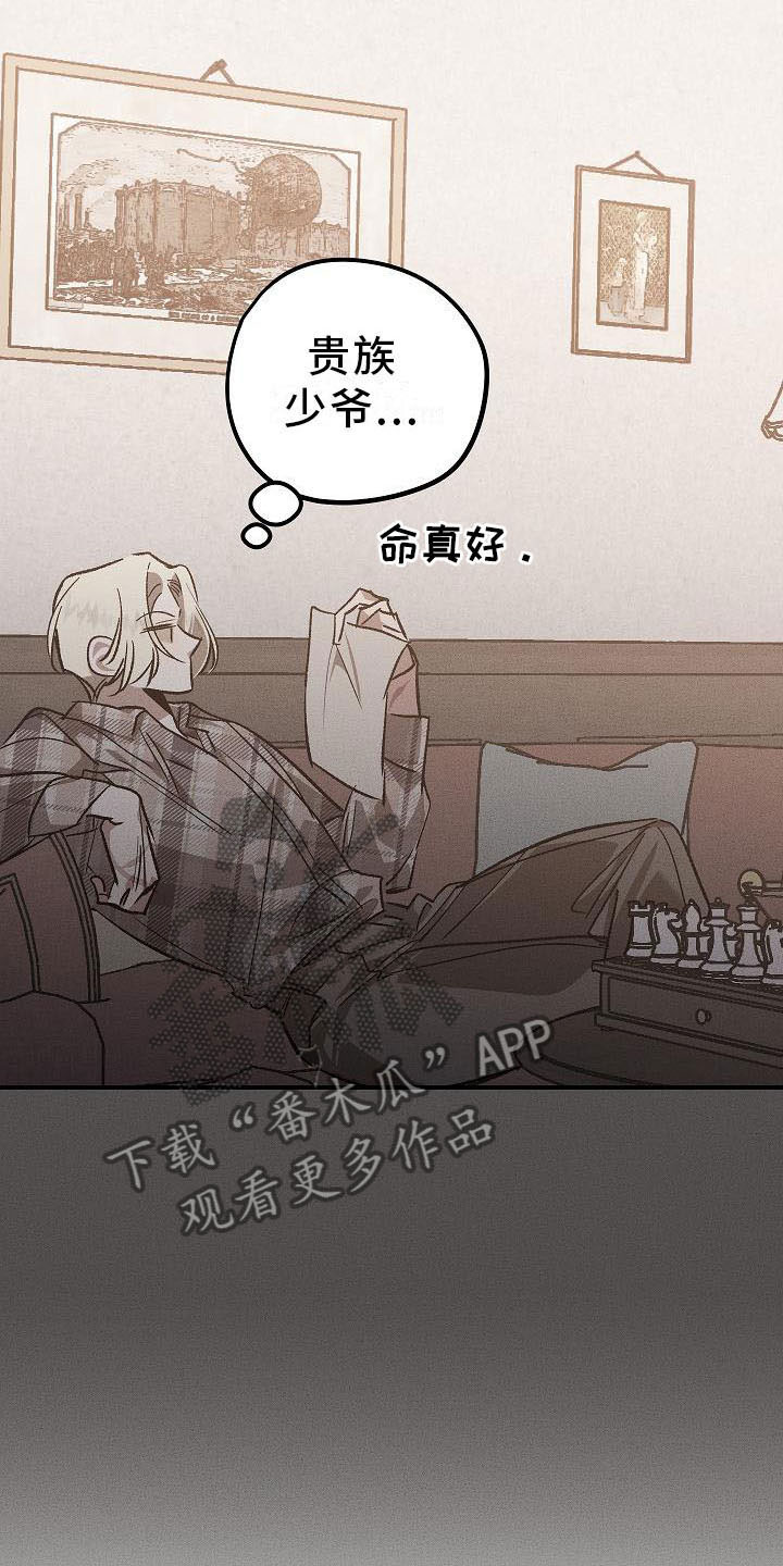 第4章：薰衣草花园：盗窃3