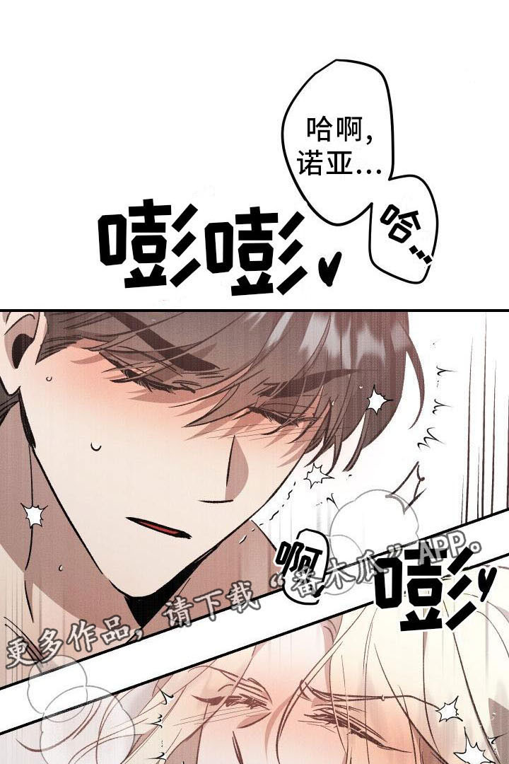 第12章：薰衣草花园：喜欢20