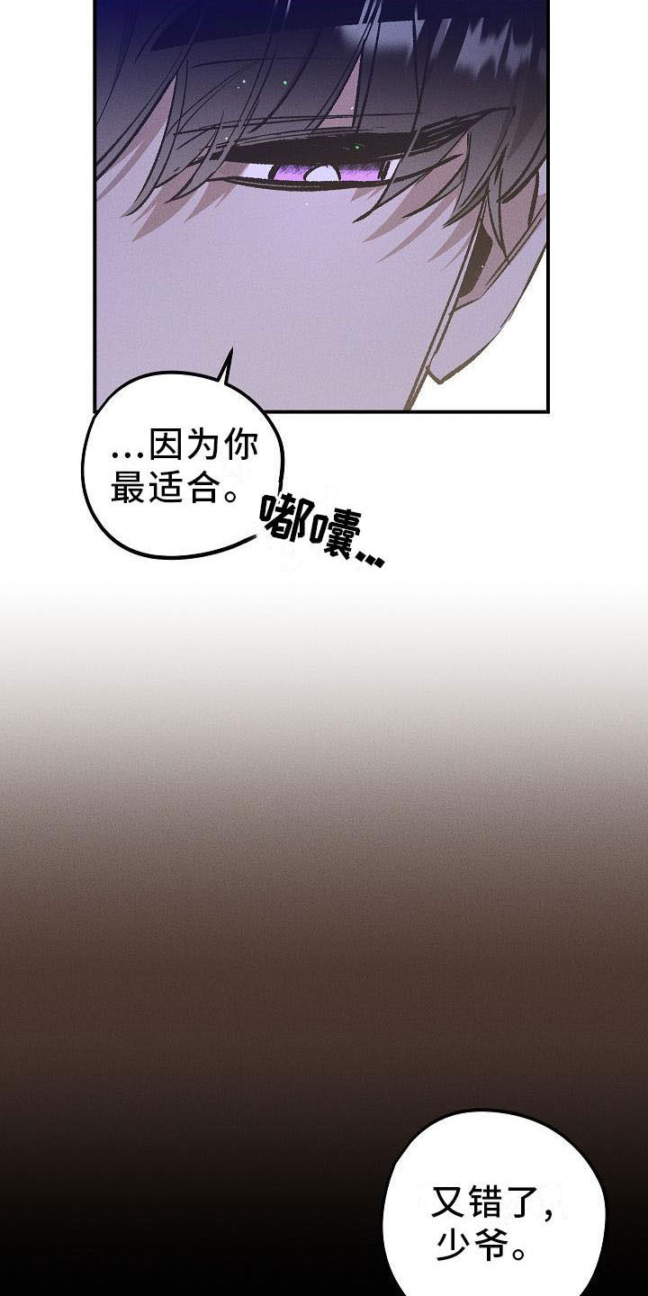 第5章：薰衣草花园：鞭打12