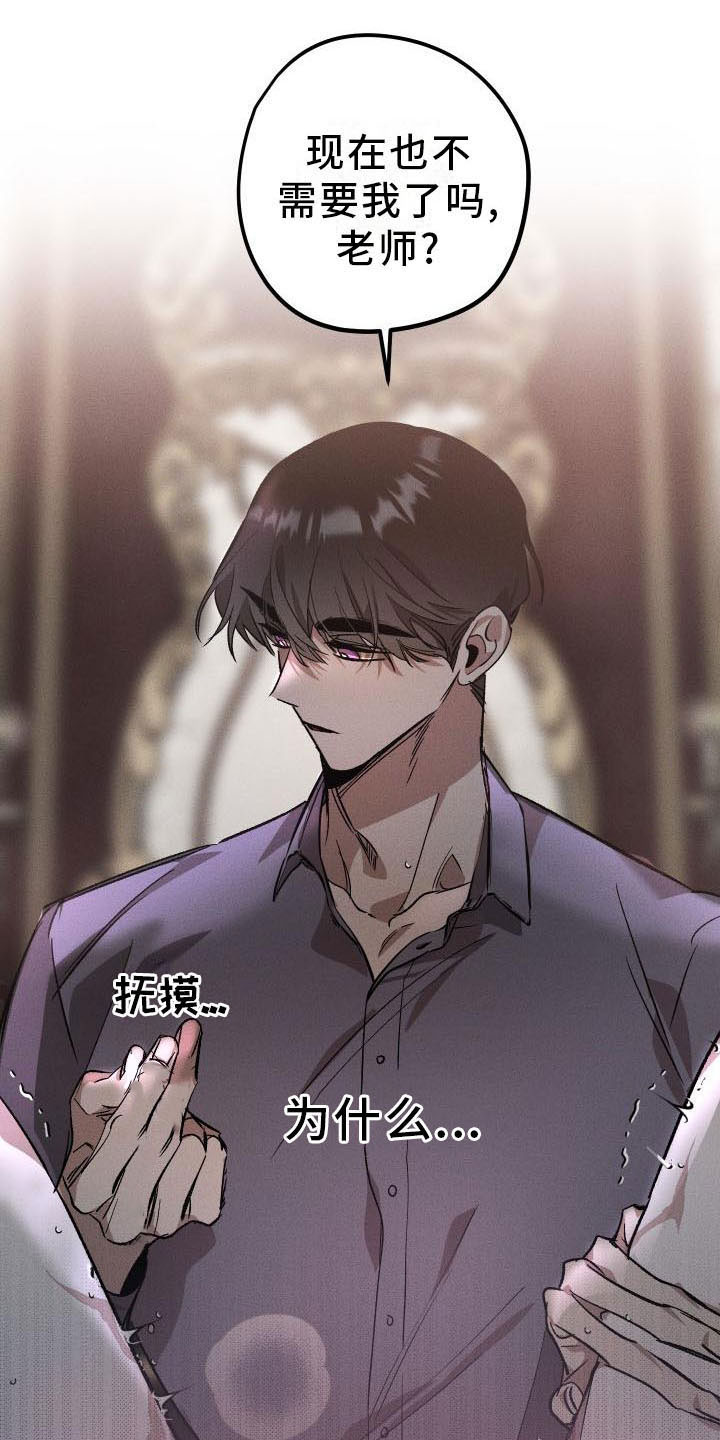 第9章：薰衣草花园：主人13