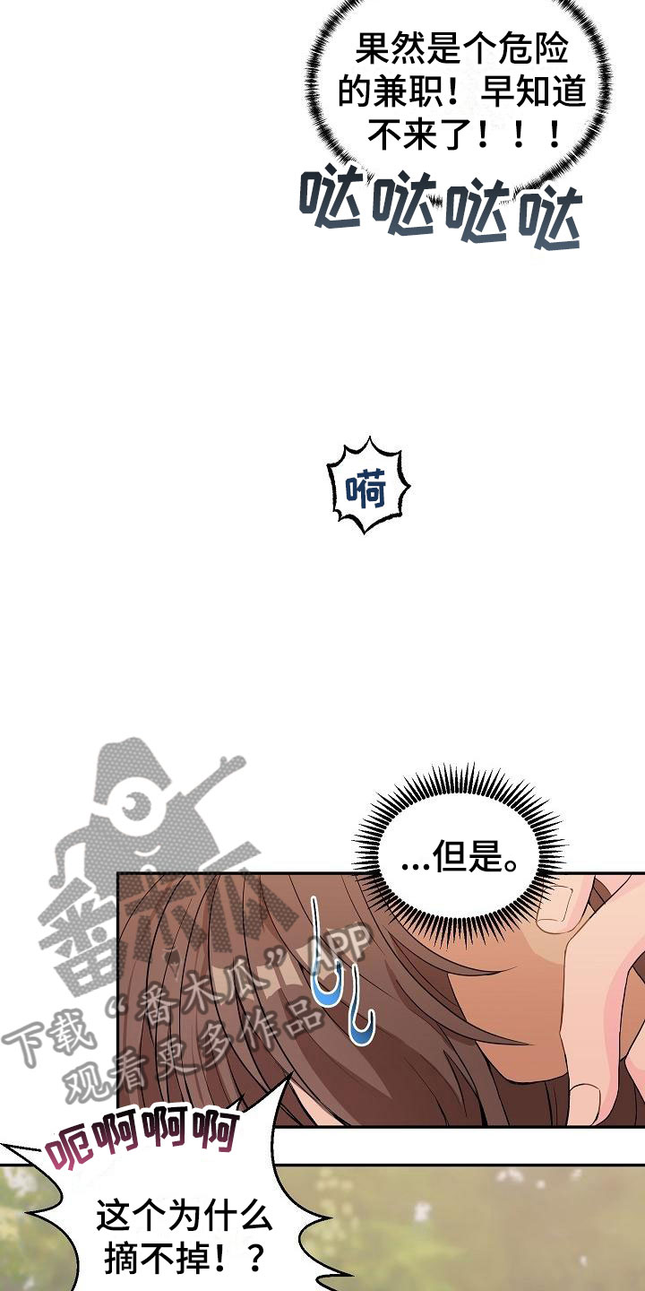 第20章：我的狗男孩：产品试用17