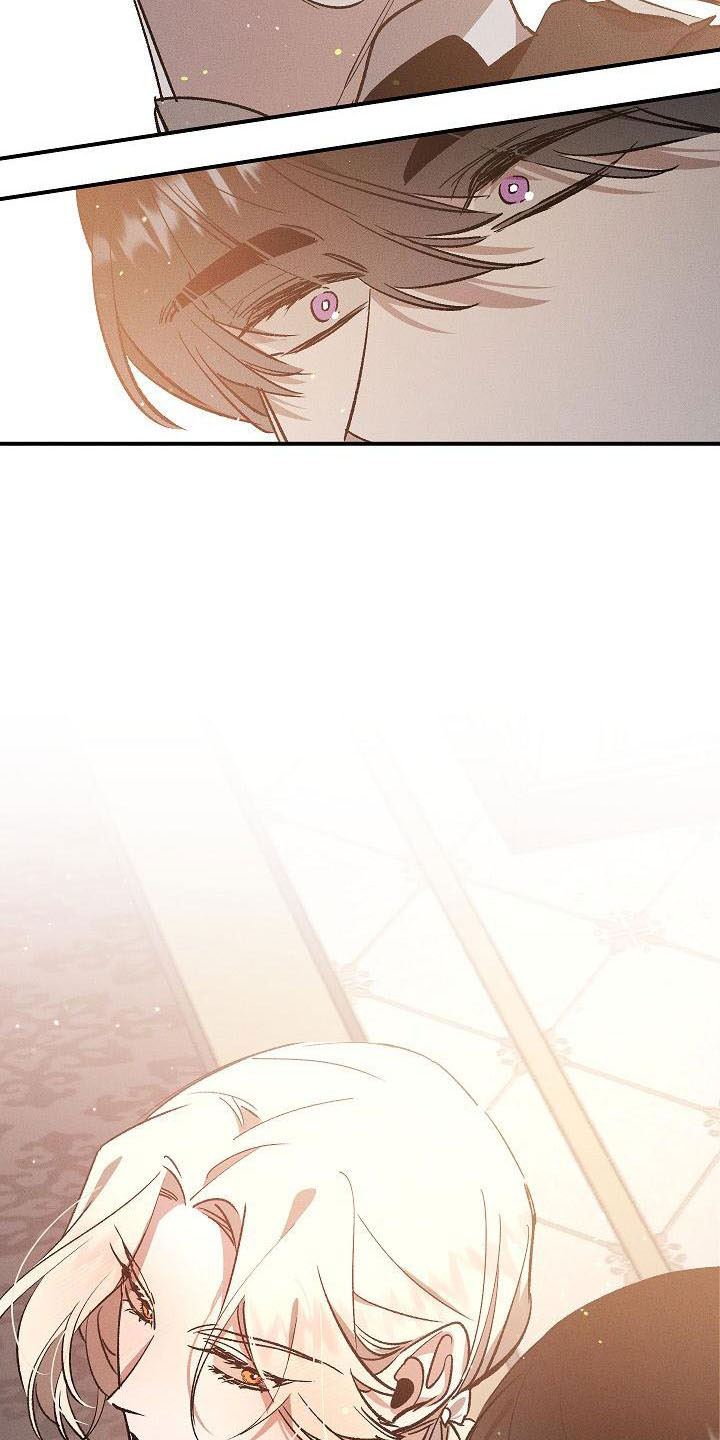 第3章：薰衣草花园：掉落的面具14