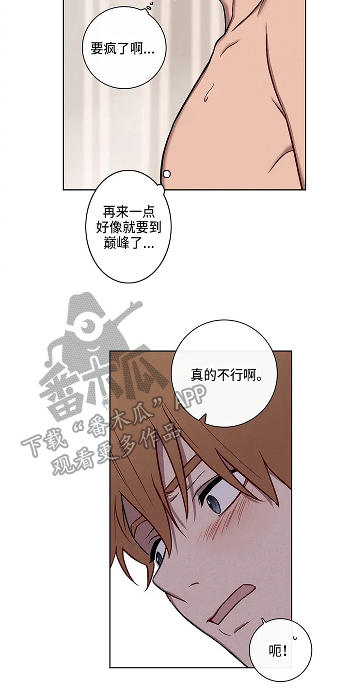 第51章：三角恋人：求饶6
