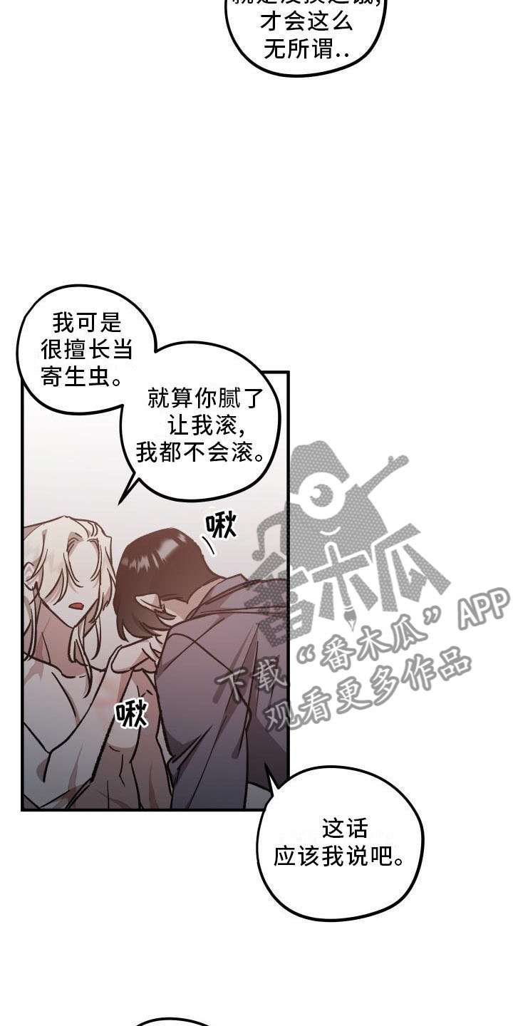 第11章：薰衣草花园：挽留19
