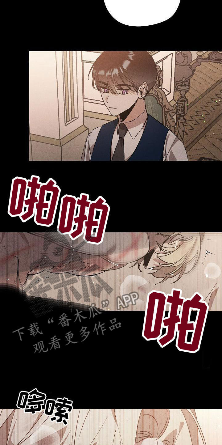第5章：薰衣草花园：鞭打16