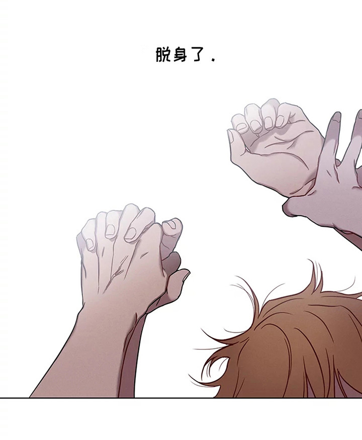 第53章：三角恋人：没法脱身了（完）23