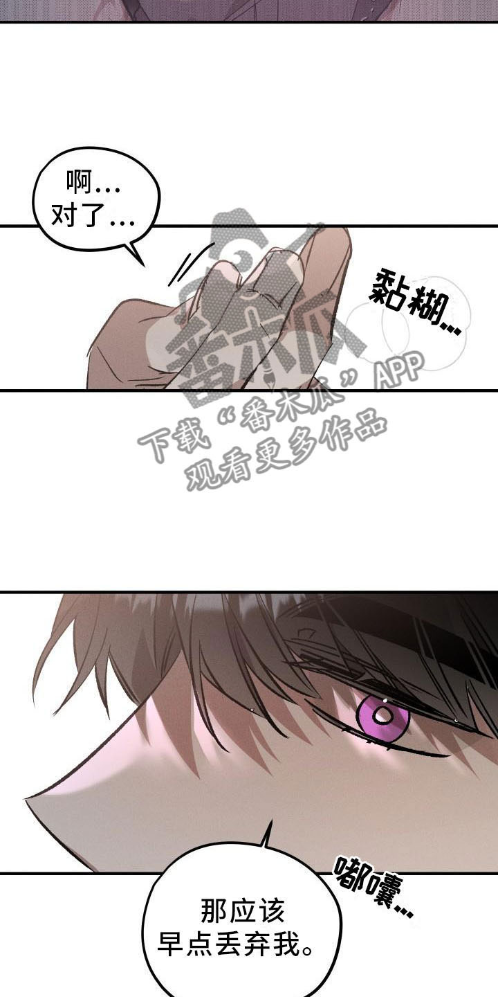 第9章：薰衣草花园：主人14