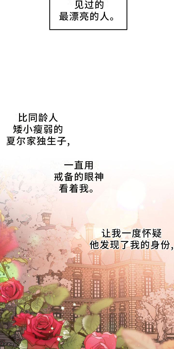 第4章：薰衣草花园：盗窃9