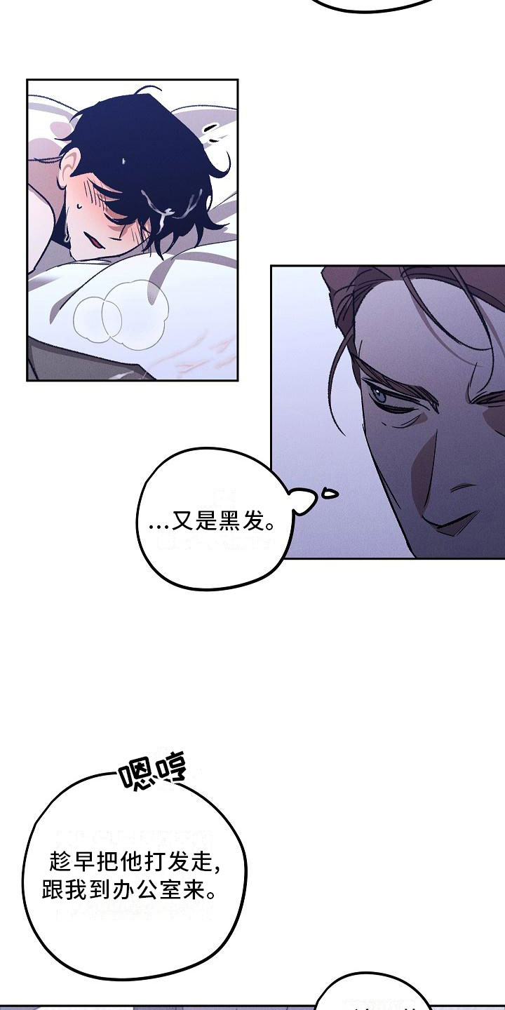 第1章：薰衣草花园：紫宝石8