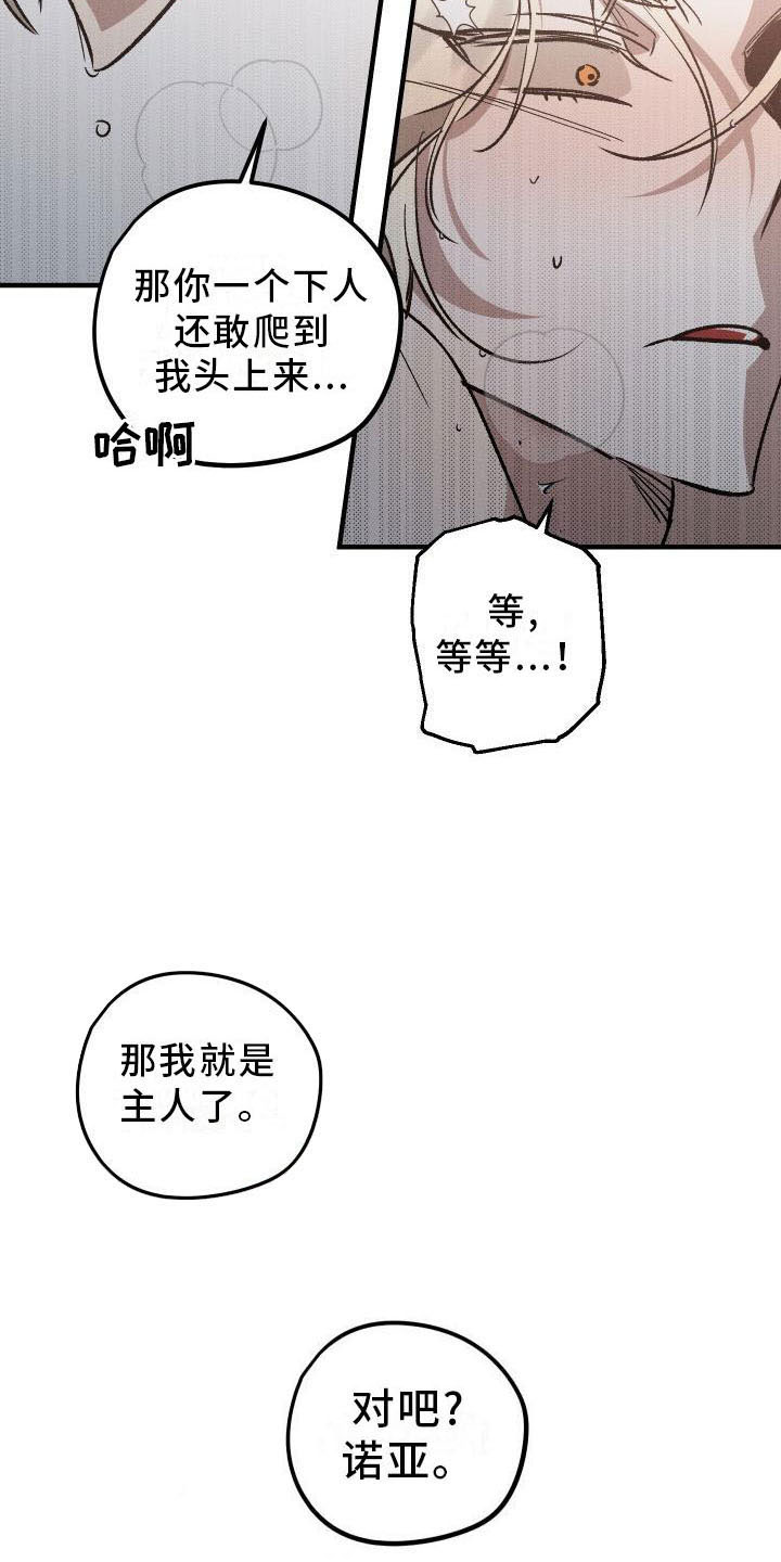 第9章：薰衣草花园：主人18