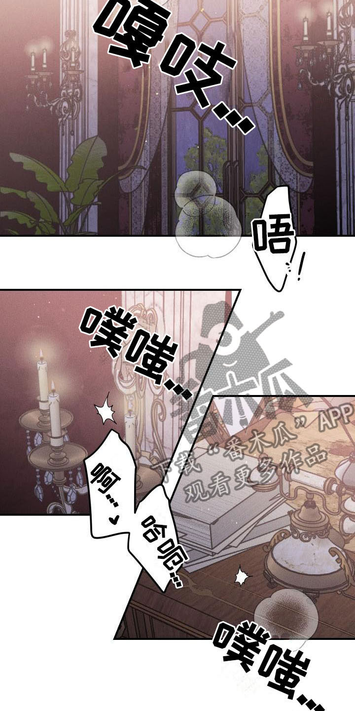 第12章：薰衣草花园：喜欢12