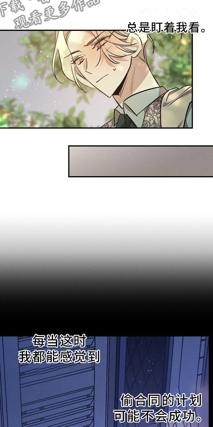 第4章：薰衣草花园：盗窃11