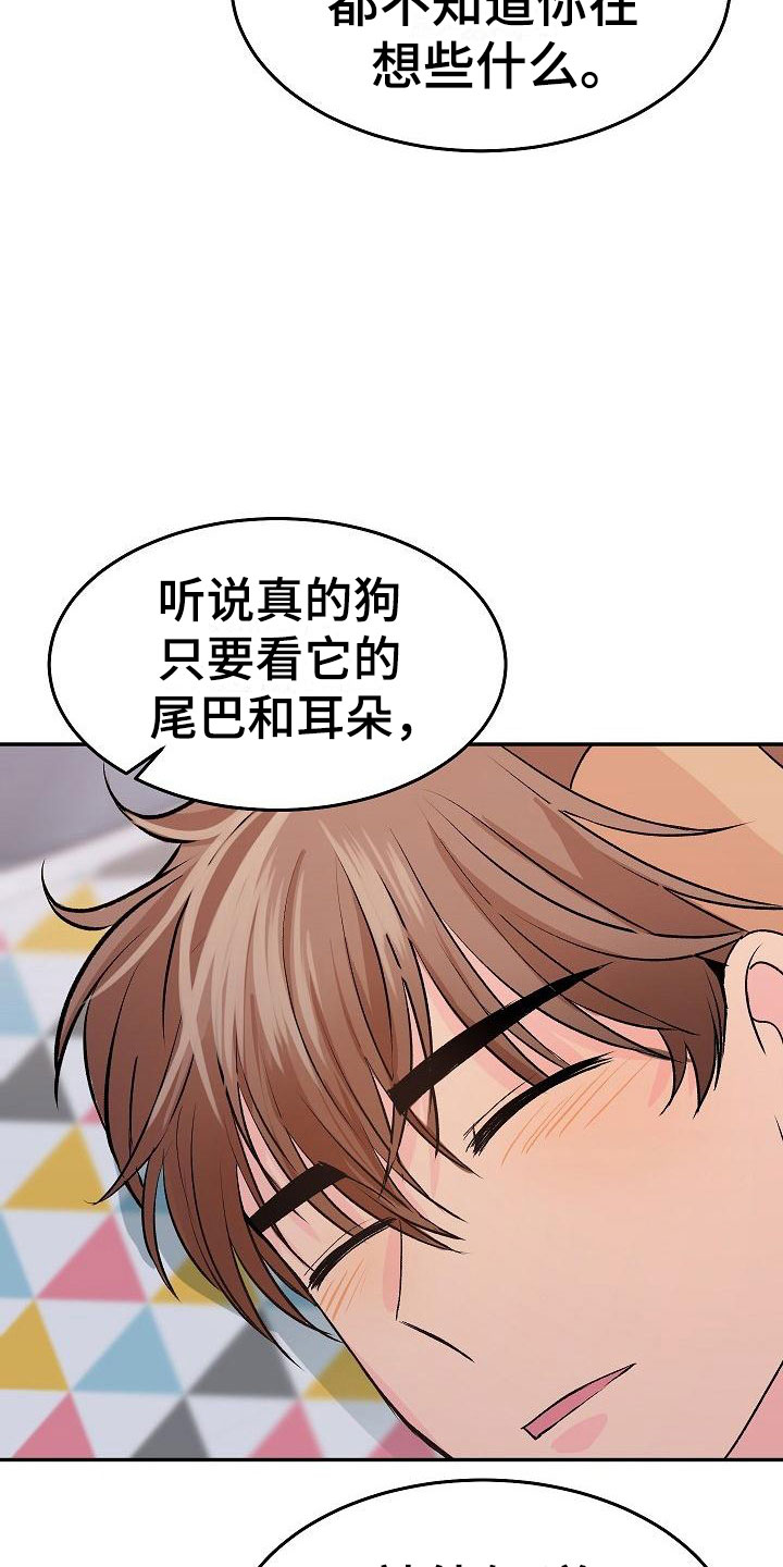 第27章：我的狗男孩：逃跑4